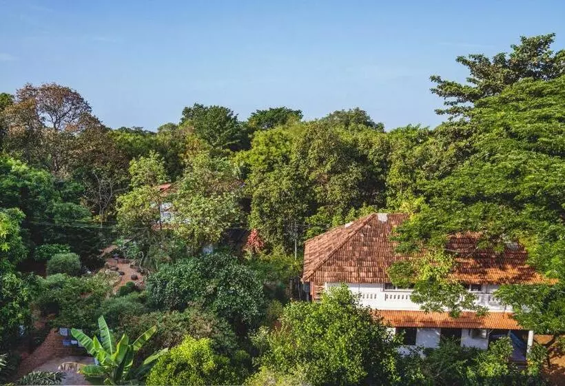 پانسیون Gaia's Garden Guest House
