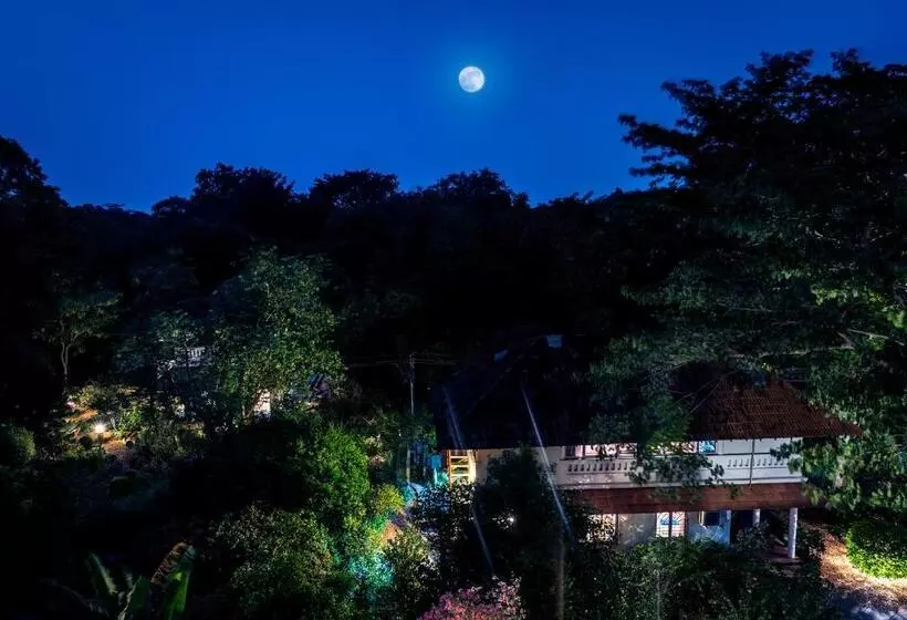 پانسیون Gaia's Garden Guest House