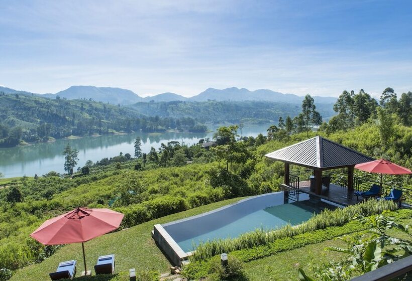 فندق Camellia Hills