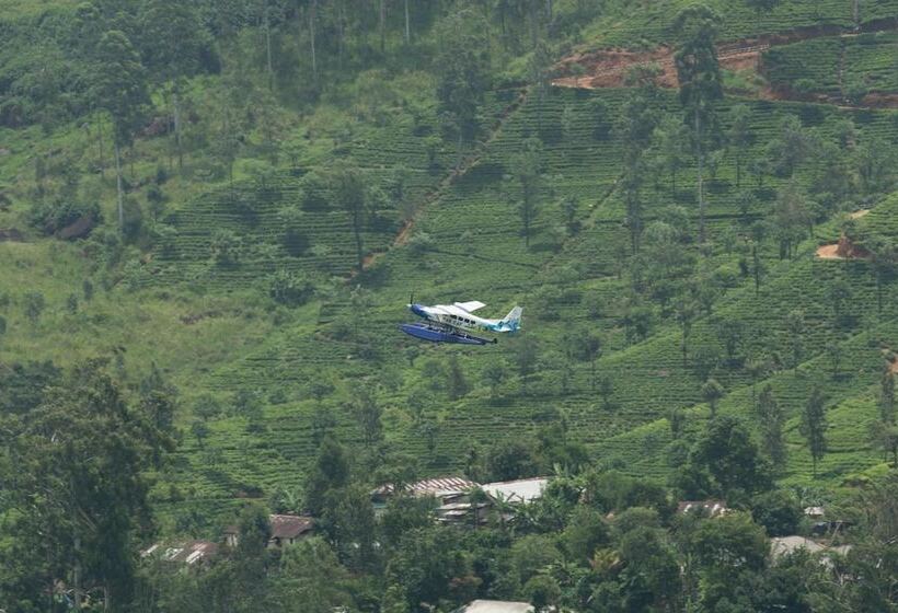 فندق Camellia Hills