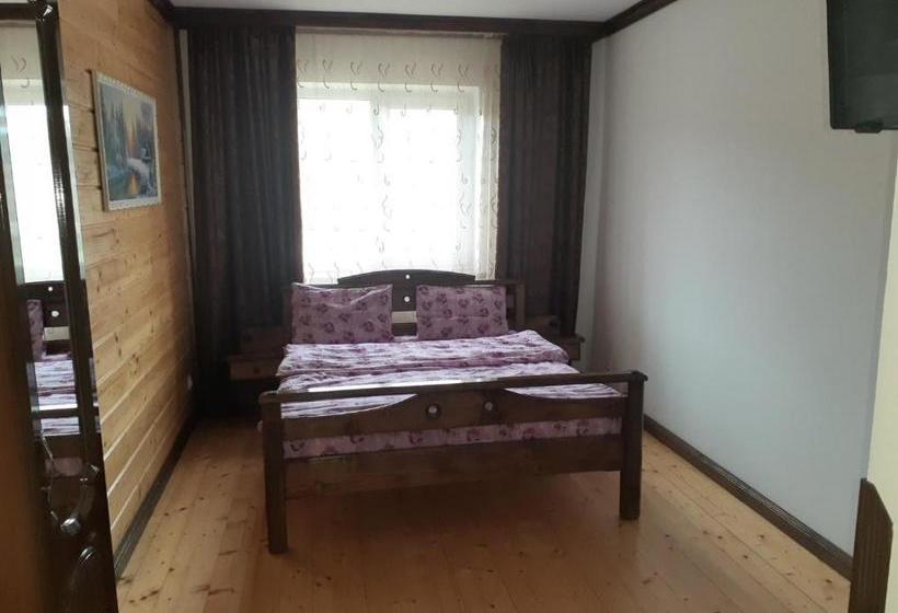 膳宿费 соломія