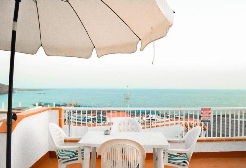 פנסיון Banana Surf House