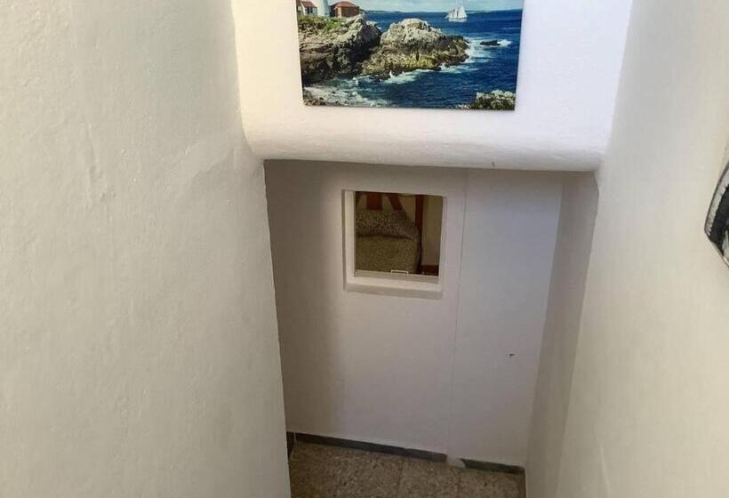 بنسيون Banana Surf House