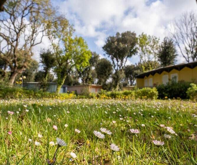 בית מלון כפרי Appartamenti Riva Degli Etruschi