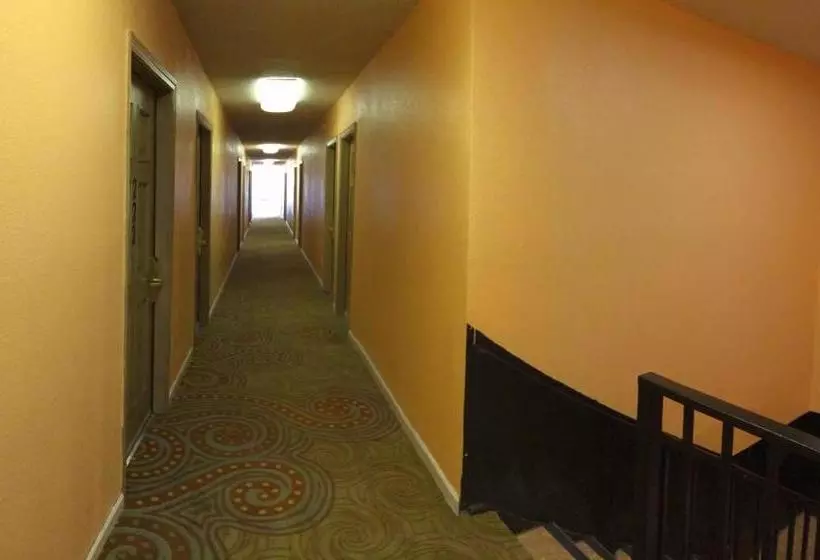 호텔 Discovery Inn