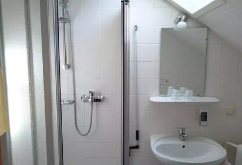 ユースホステル Gasthaus Zum Frohsinn