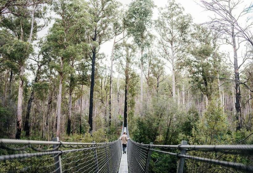 호스텔 Tahune Airwalk Cabin And Lodge