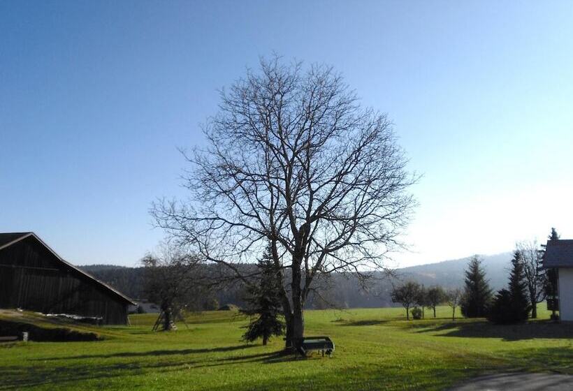 Gasthof Pension Kraus