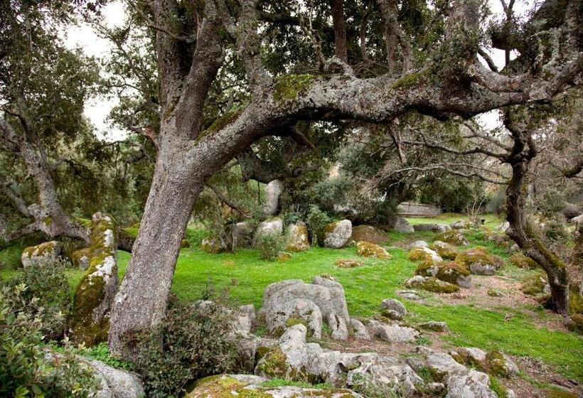 هتل Agriturismo Testone