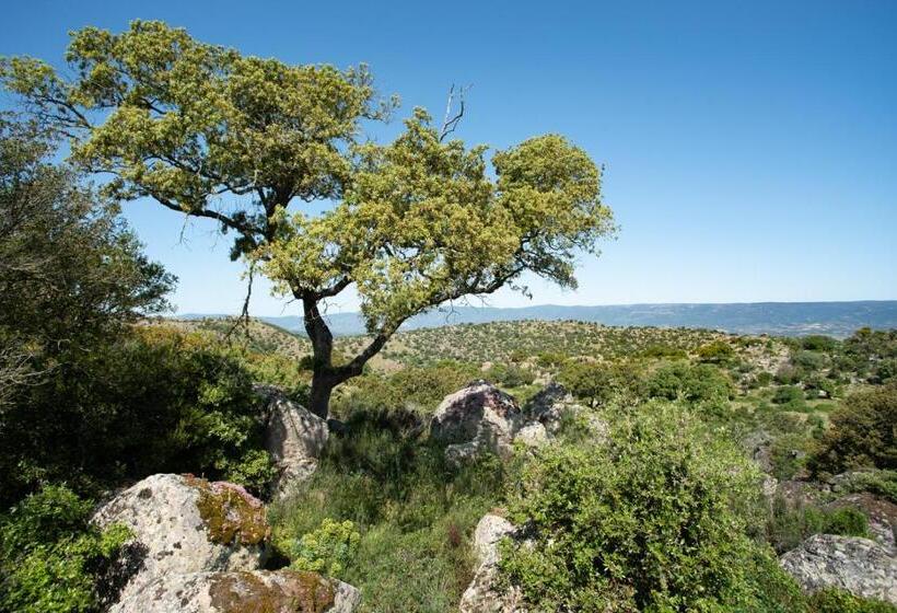 هتل Agriturismo Testone