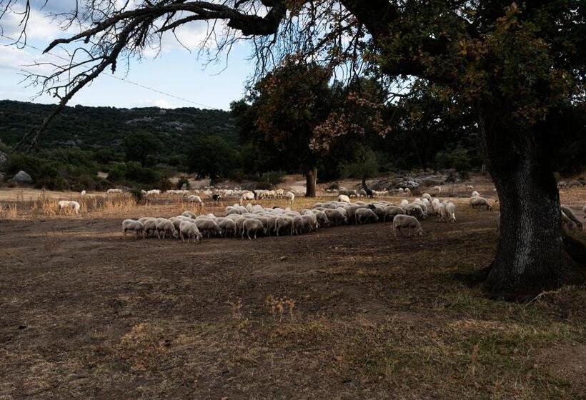 هتل Agriturismo Testone