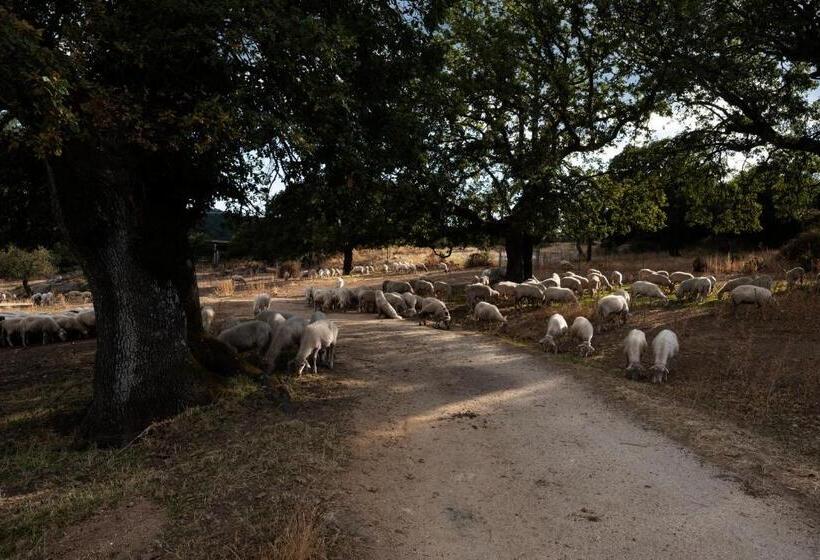 هتل Agriturismo Testone