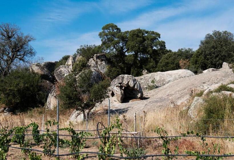 هتل Agriturismo Testone