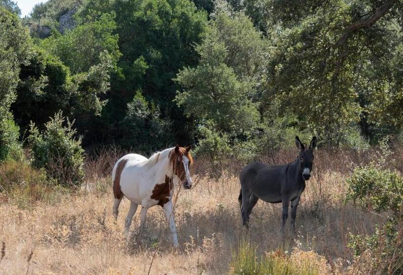 هتل Agriturismo Testone