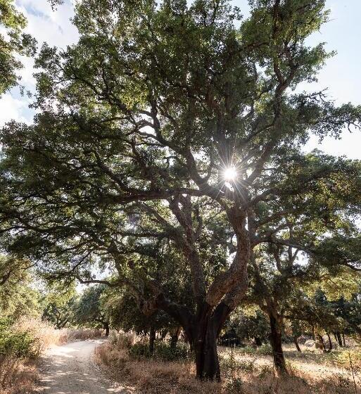 هتل Agriturismo Testone