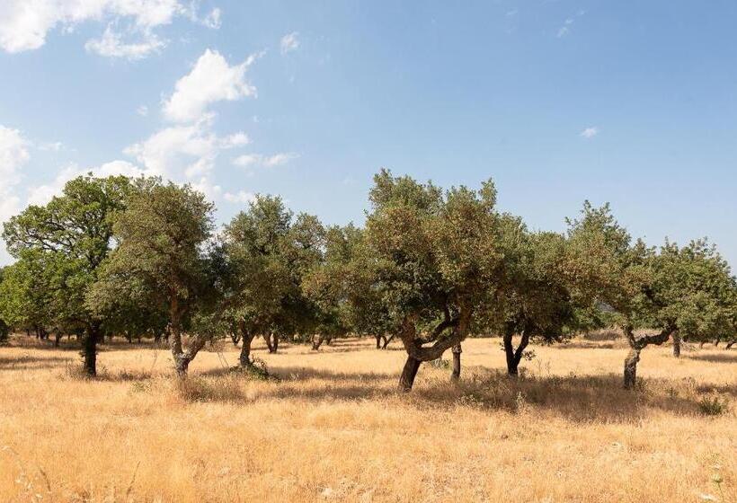 هتل Agriturismo Testone