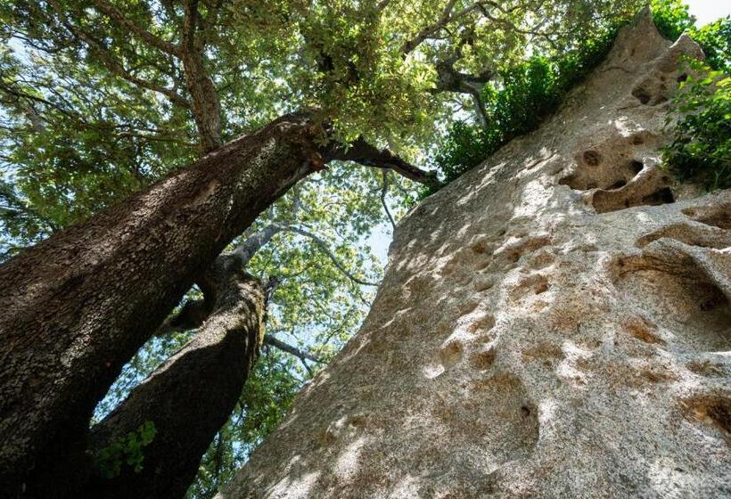 هتل Agriturismo Testone