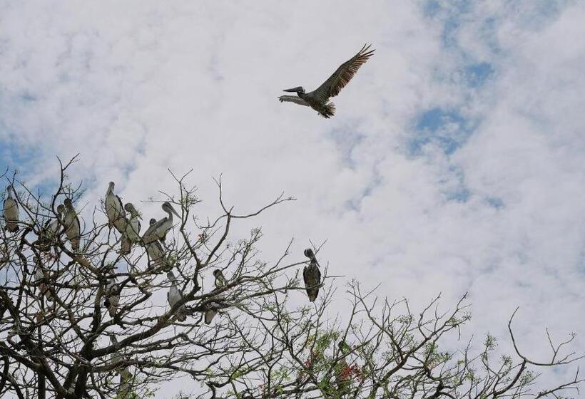 هتل Hostel Island Paradise, Saboga Lodge And Villa Noelia