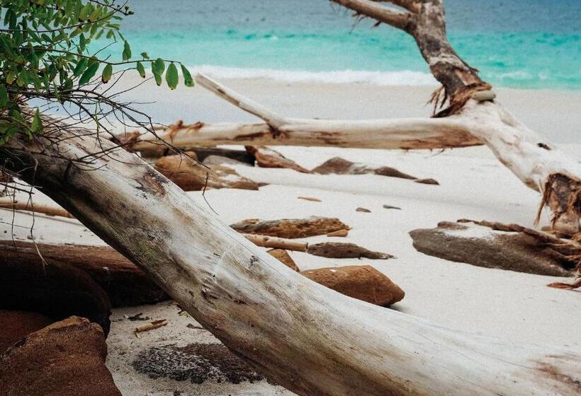 هتل Hostel Island Paradise, Saboga Lodge And Villa Noelia