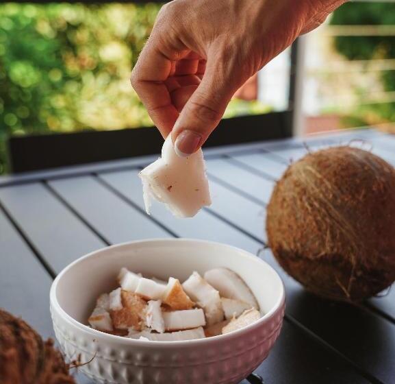 هتل Hostel Island Paradise, Saboga Lodge And Villa Noelia