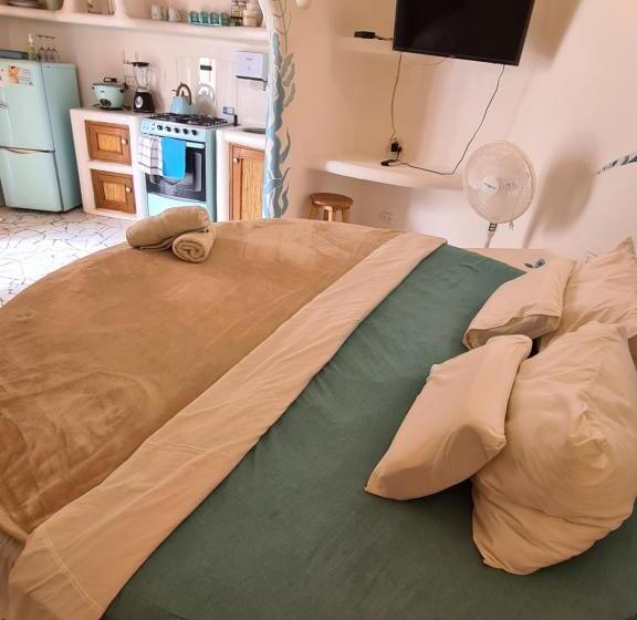 ホテル Maracol Bungalows Vichayito