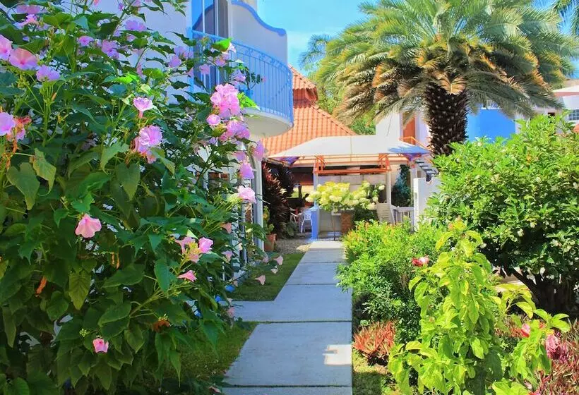 ホテル Mexico Lindo