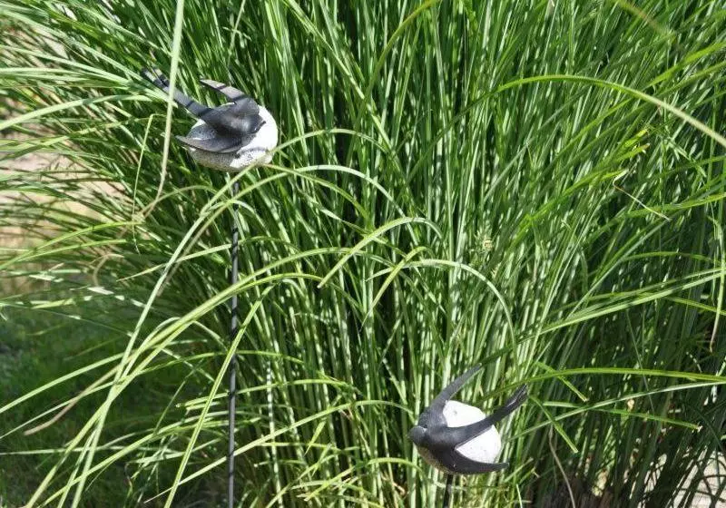 Pension Schwalbennest