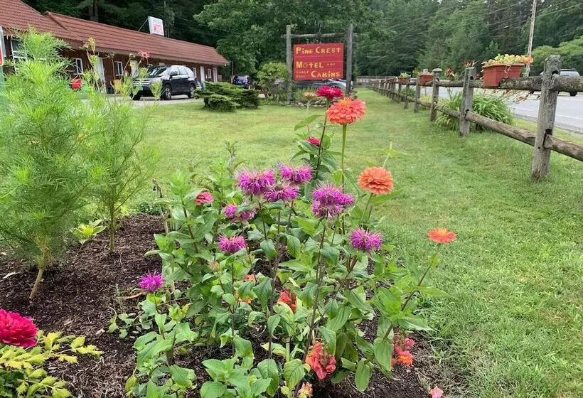 Pine Crest Motel & Cabins