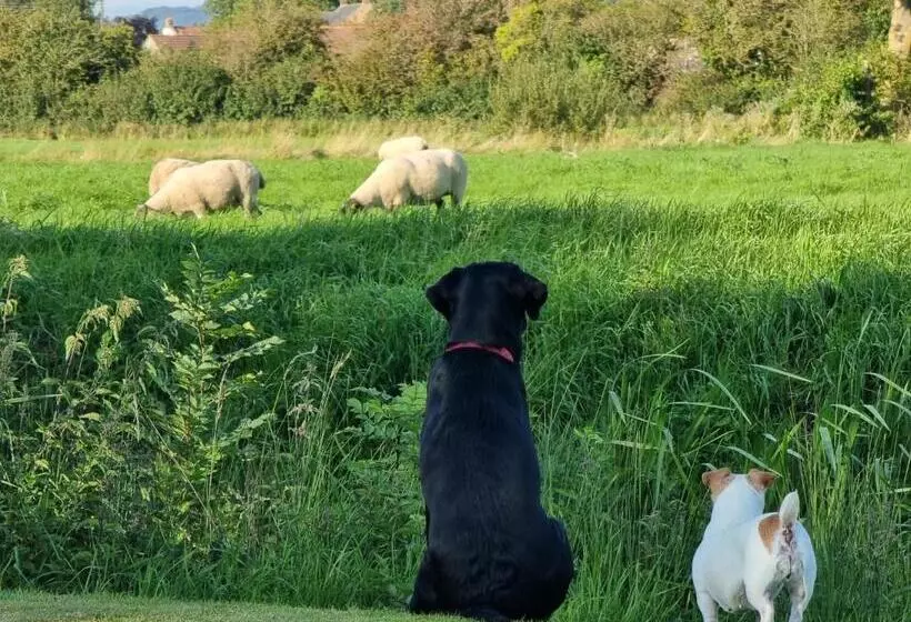 酒店 Burnt House Farm