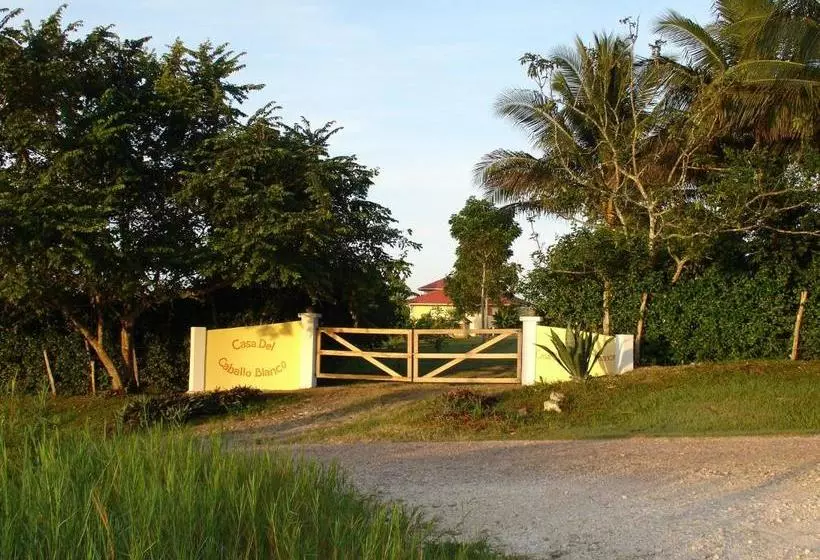 ホテル Casa Del Caballo Blanco