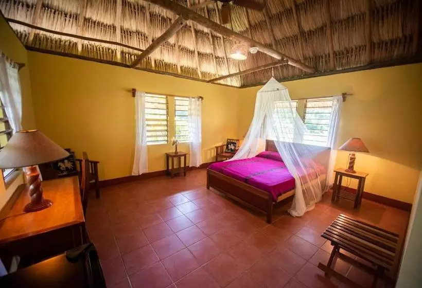 ホテル Casa Del Caballo Blanco