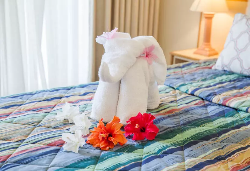 Отель Comfort Inn Kempsey