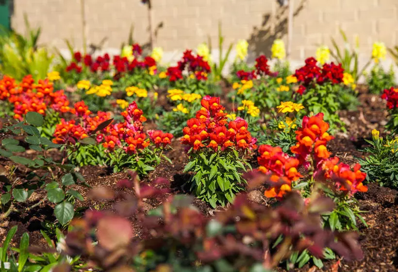 Отель Comfort Inn Kempsey