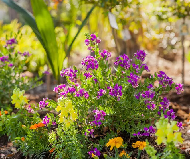 Отель Comfort Inn Kempsey