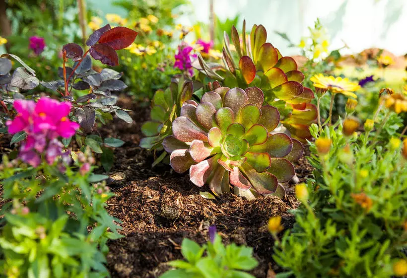 Отель Comfort Inn Kempsey