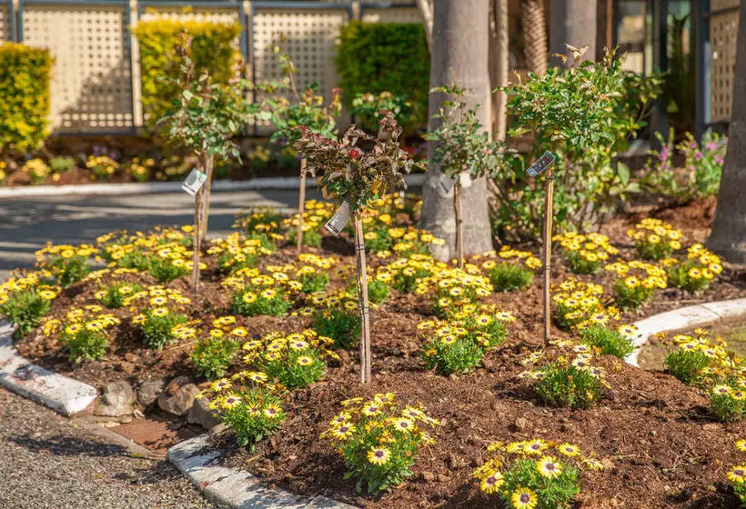 Отель Comfort Inn Kempsey