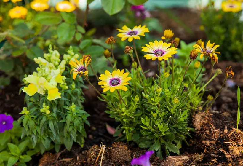 Отель Comfort Inn Kempsey