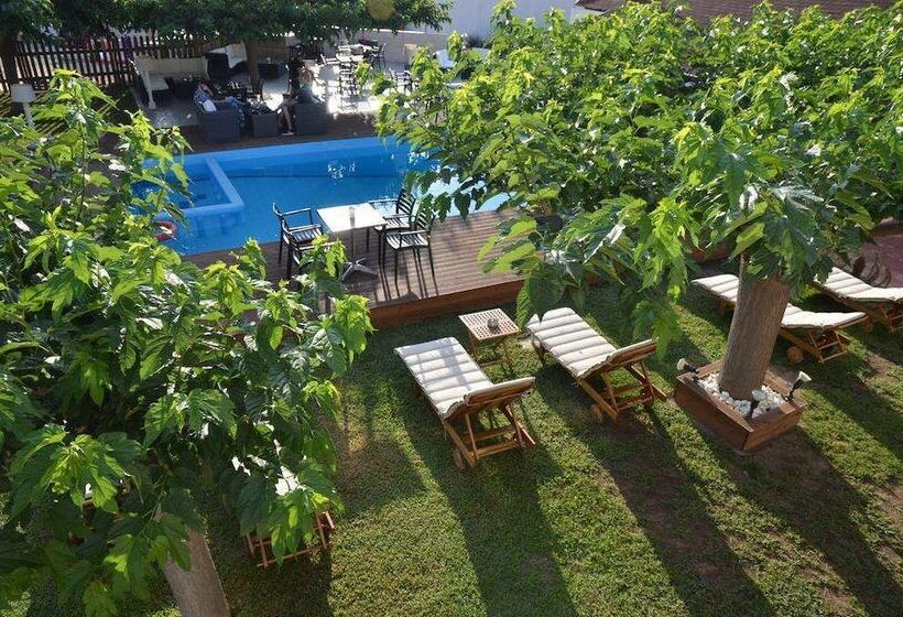 Marika S Aparts & Studios