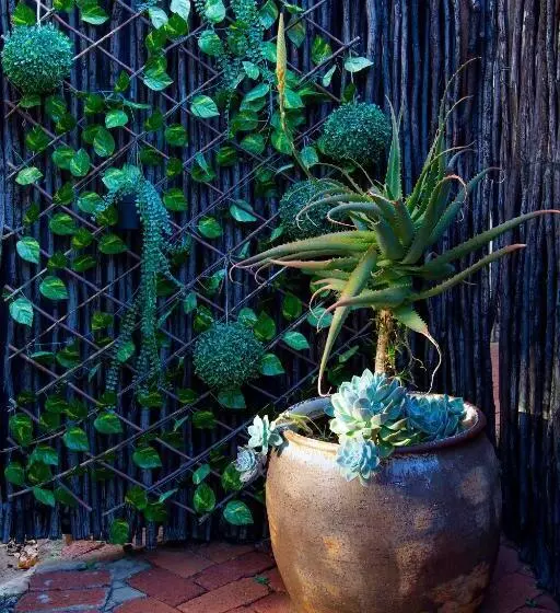 ペンション Sixty Three