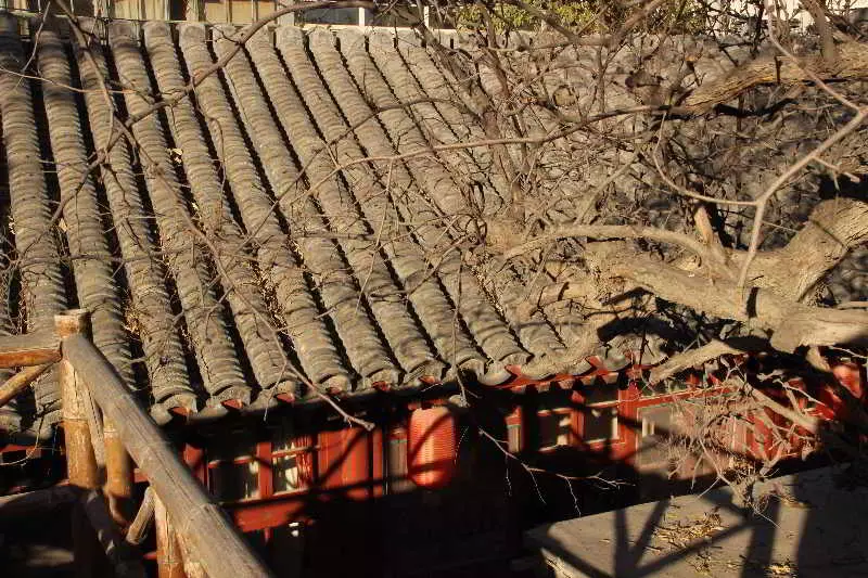 호텔 Beijing Templeside Hutong Guesthouse