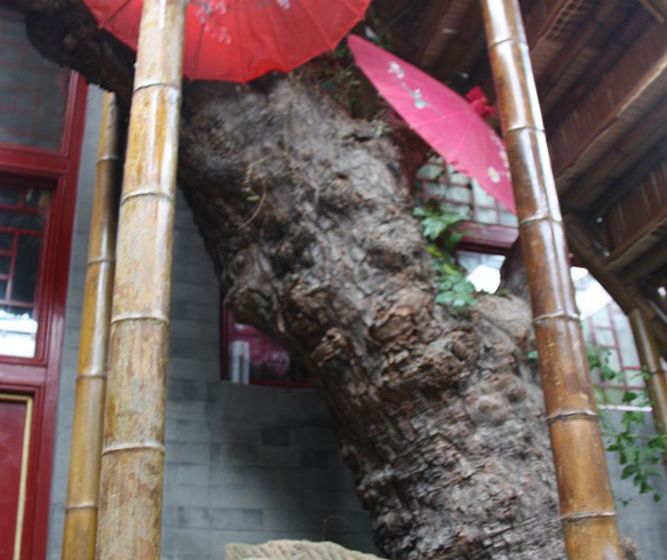 호텔 Beijing Templeside Hutong Guesthouse