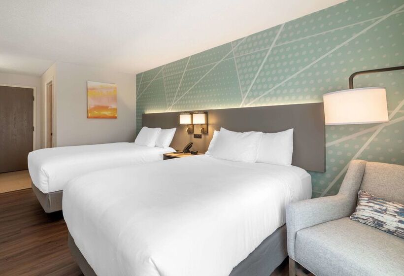 בית מלון כפרי Comfort Inn Airport