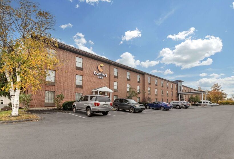 בית מלון כפרי Comfort Inn Airport