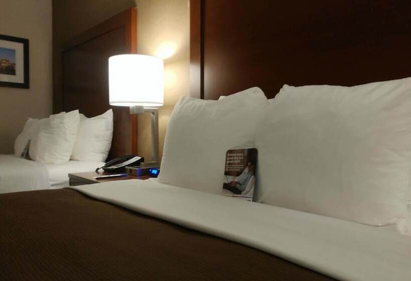 בית מלון כפרי Comfort Inn Airport