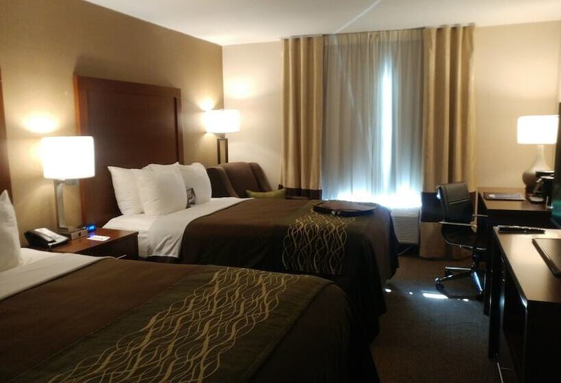 בית מלון כפרי Comfort Inn Airport