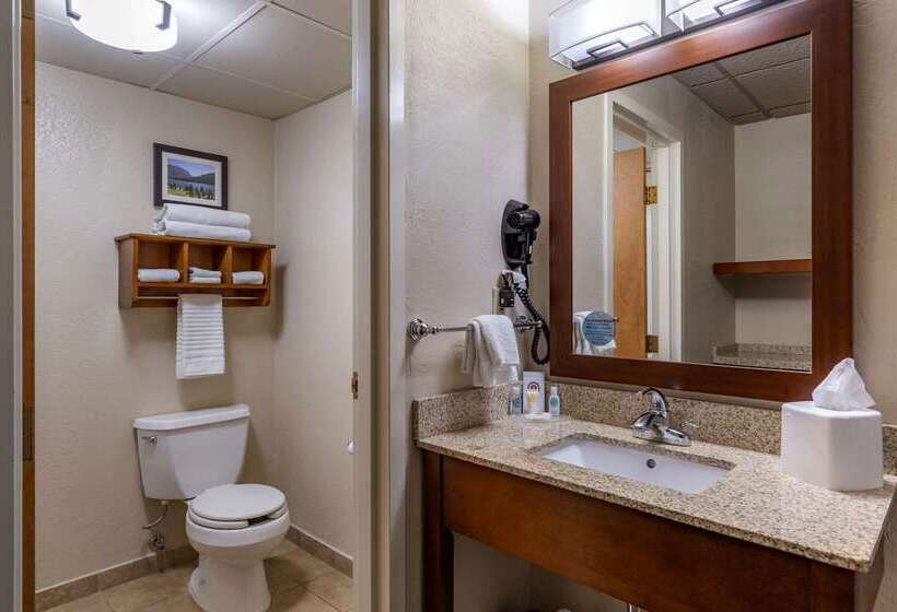 호텔 Comfort Inn Butte City Center I 15   I 90