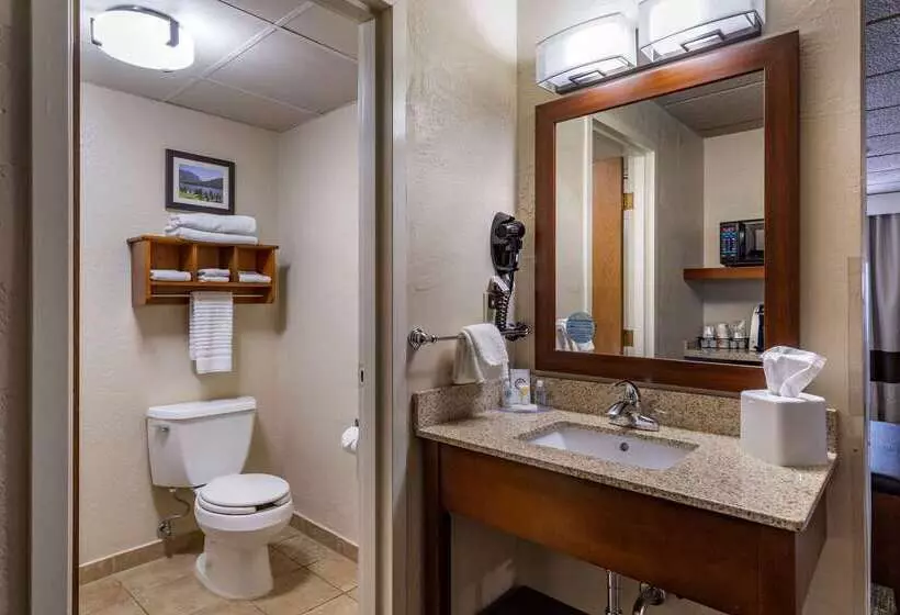 هتل Comfort Inn Butte City Center I 15   I 90