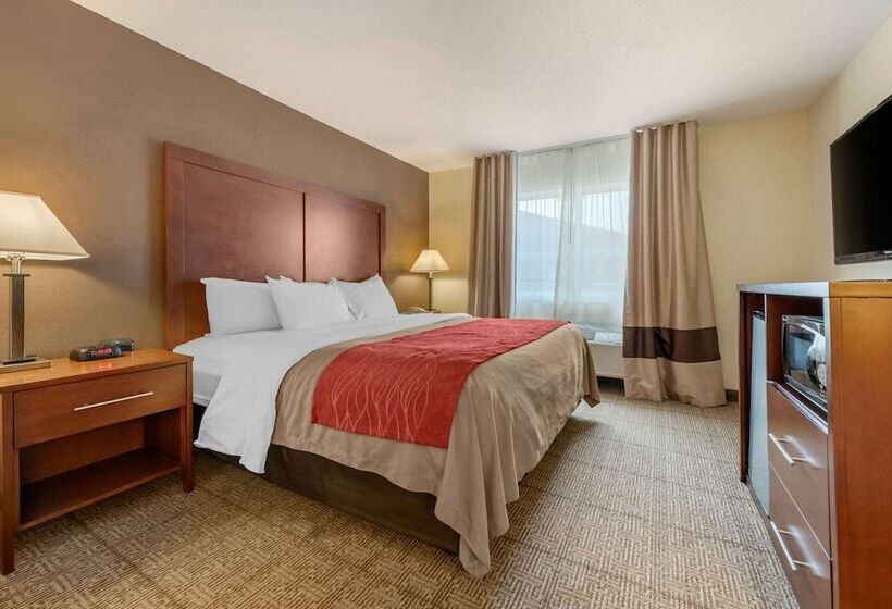 호텔 Comfort Inn Warren I 69