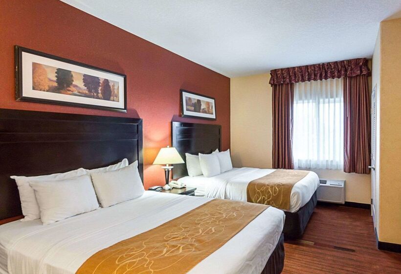 בית מלון כפרי Comfort Suites Airport