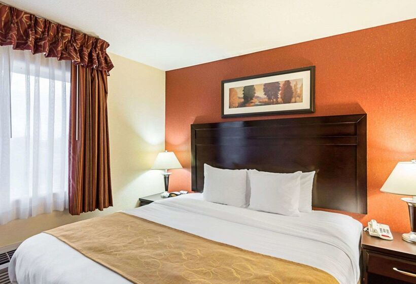 בית מלון כפרי Comfort Suites Airport